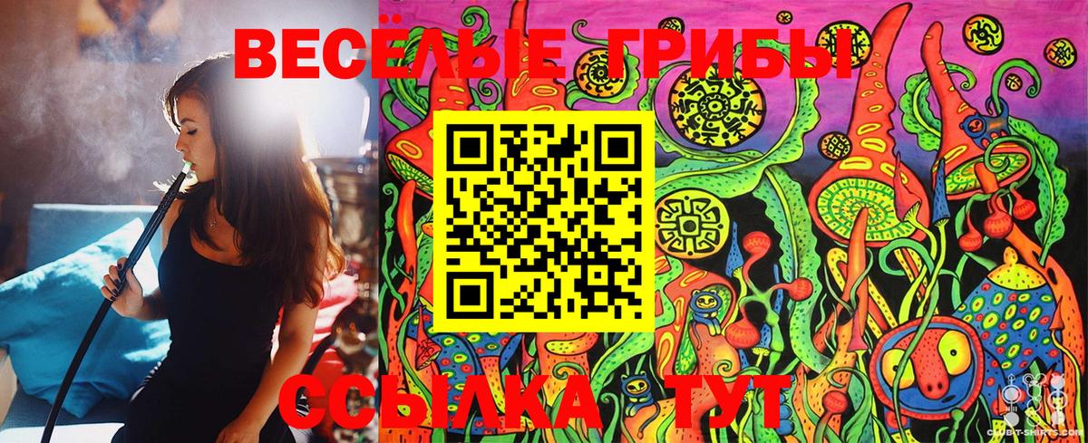Псилоцибиновые грибы Psilocybine cubensis  Вход с VPN  Электросталь 